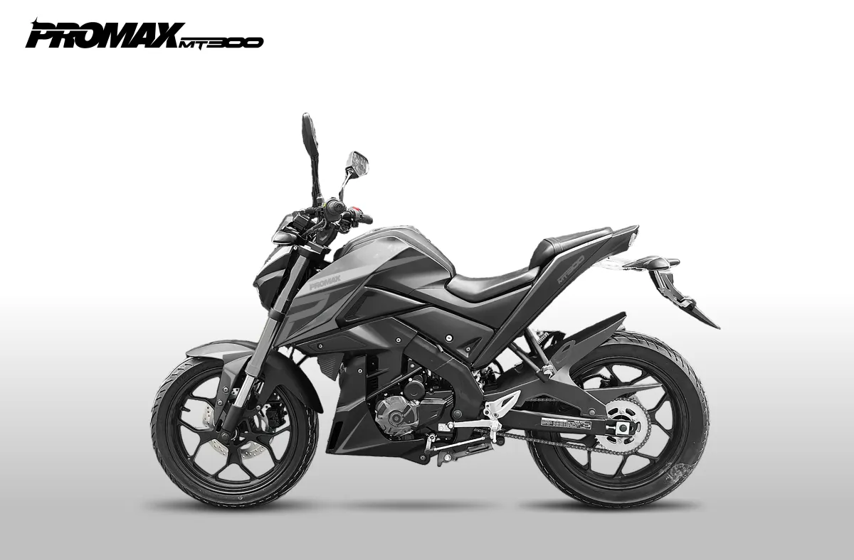 Мотоцикл PROMAX MT300